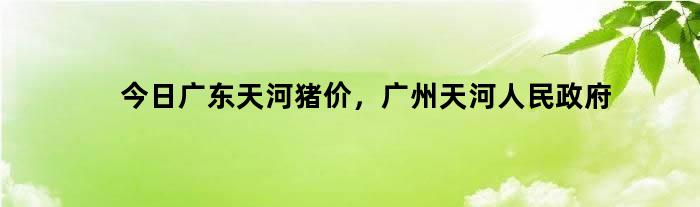今日广东天河猪价，广州天河人民政府