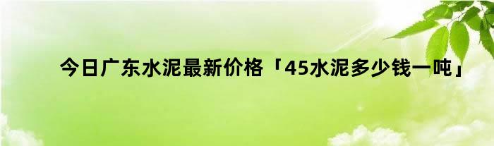 今日广东水泥最新价格「45水泥多少钱一吨」